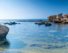 חוף טיפוסי בקפריסין